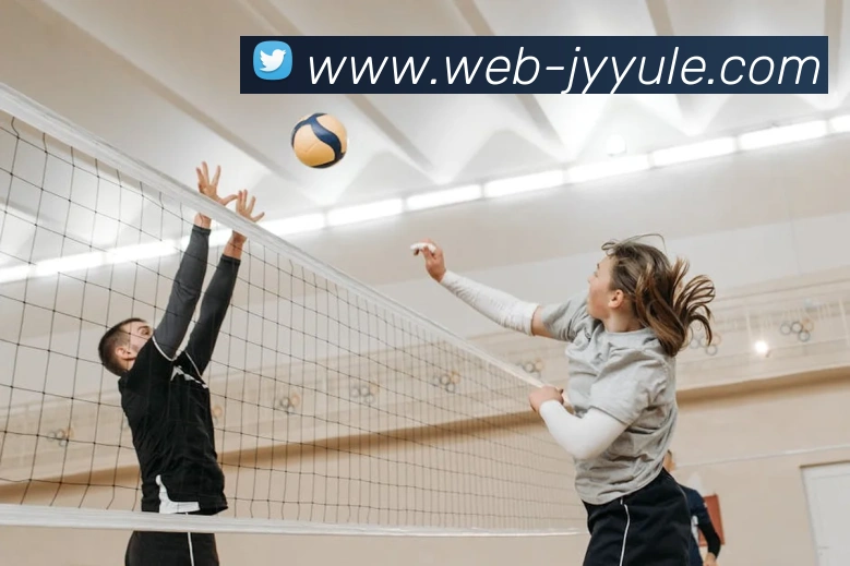 九游APP下载平台生态图